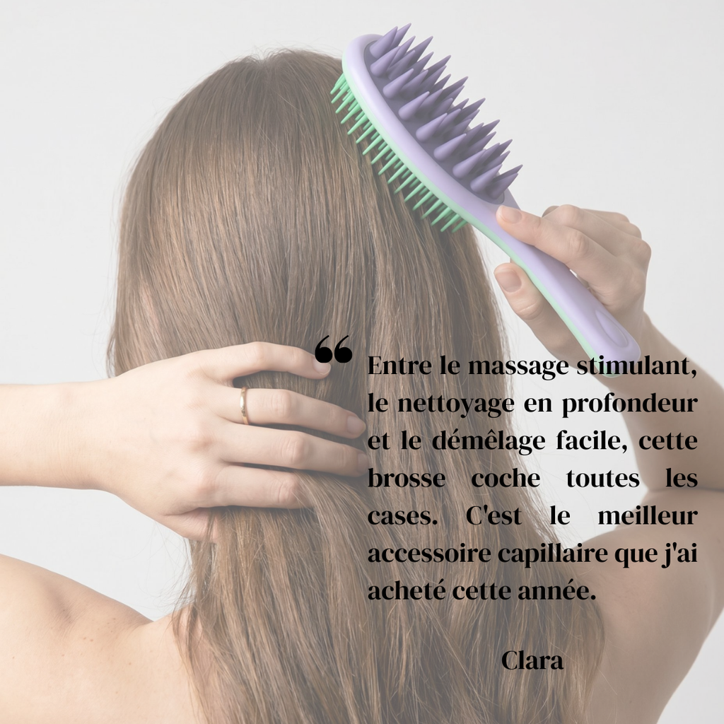 La Brosse Stimulatrice
