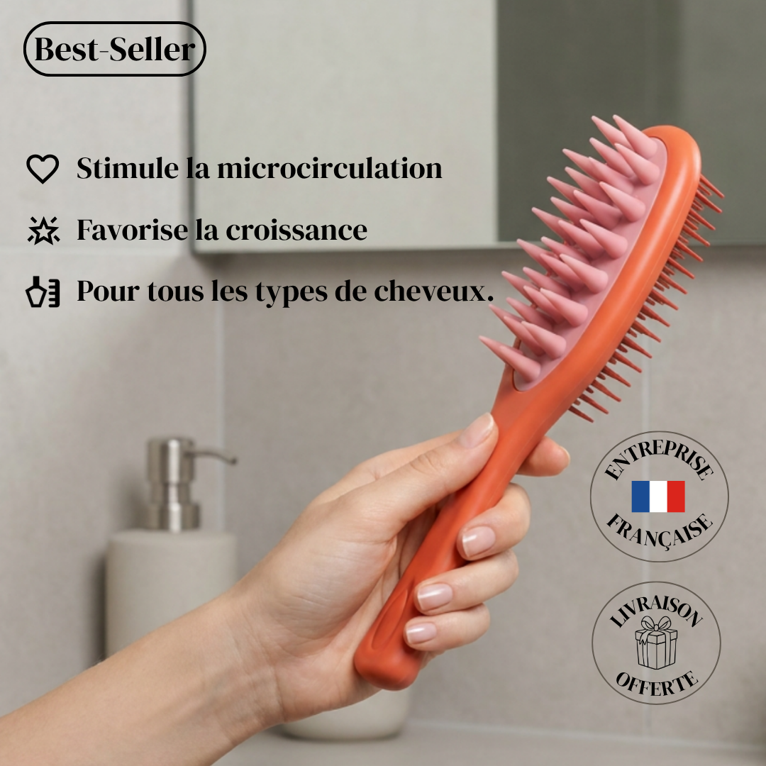 La Brosse Stimulatrice