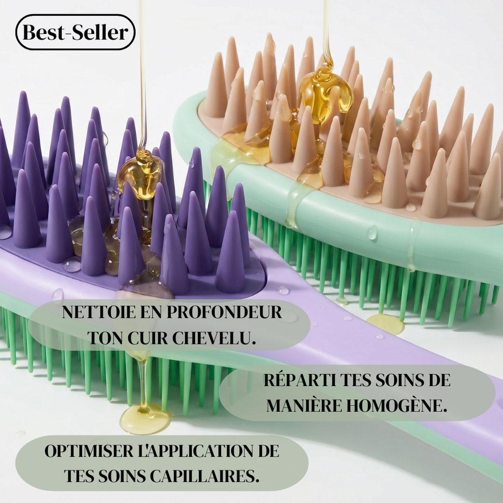 La Brosse Stimulatrice