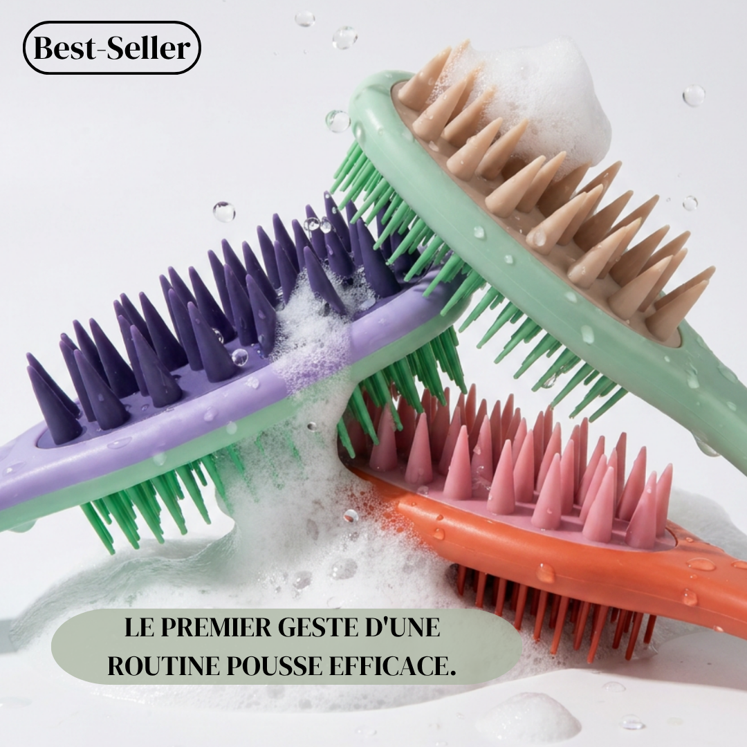 La Brosse Stimulatrice